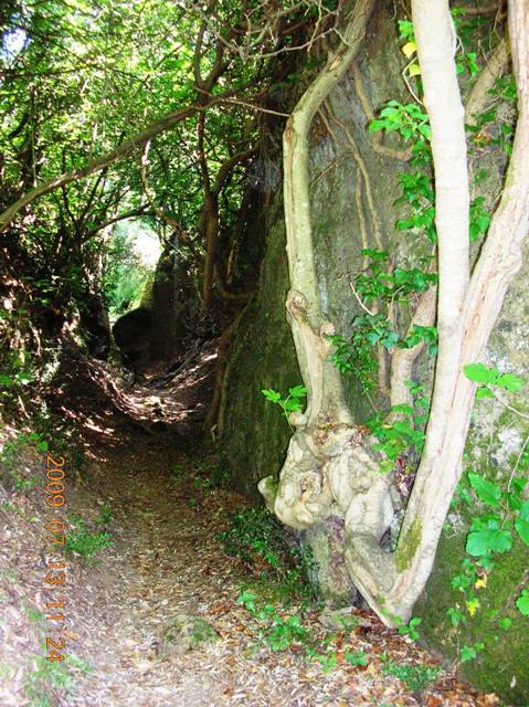 Tuscia nascosta